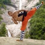 Stretching Flexibility – Martial Arts Explained