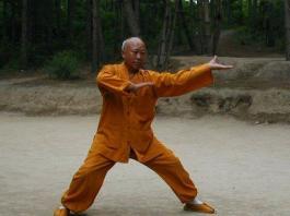Tai Ji Quan Master