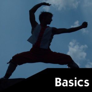 Martial Arts Basics