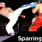 Sparring Martial Arts Explained piccolo 200x200px