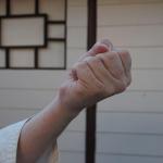 Uraken Back Fist – pictures of Karate fists types