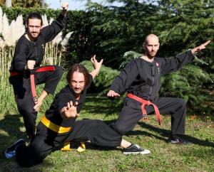 Are traditional martial arts a thing of the past