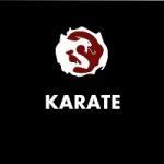 Karate – Martial Arts Explained