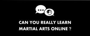 can you really learn martial arts online