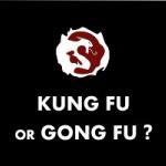 Kung fu or Gong fu – Martial Arts Explained