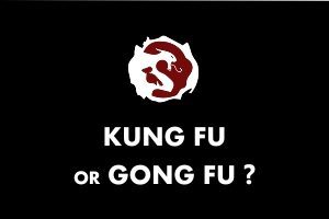 Kung fu or Gong fu