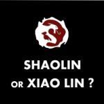 Shaolin or Xiao lin – Martial Arts Explained