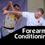 Forearm Conditioning – Martial Arts Explained – BMC 2