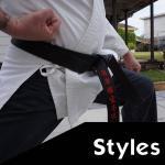 Martial arts explained – Martial Styles compared 1