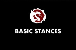 basic stances