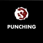 Punching – Martial Arts Explained