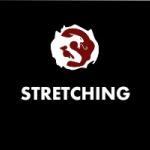 Stretching – Martial Arts Explained