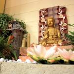 Buddha Meditazione Fiore di Loto