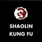 Shaolin Kungfu – Martial Arts Explained