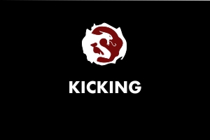 Kicking - Martial Arts Explained