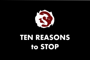 Martial Arts Explained - 10 reasons to stop
