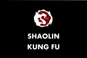 Shaolin Kungfu 
