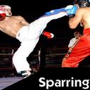 Sparring Martial Arts Explained piccolo 128x128px