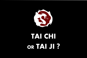 Tai chi or Tai ji